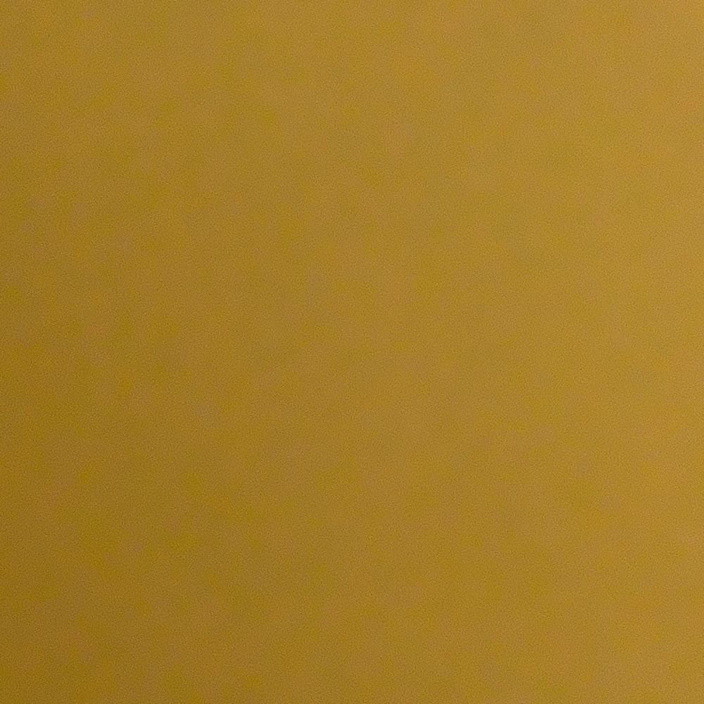 Meet your Posher, Rhonda